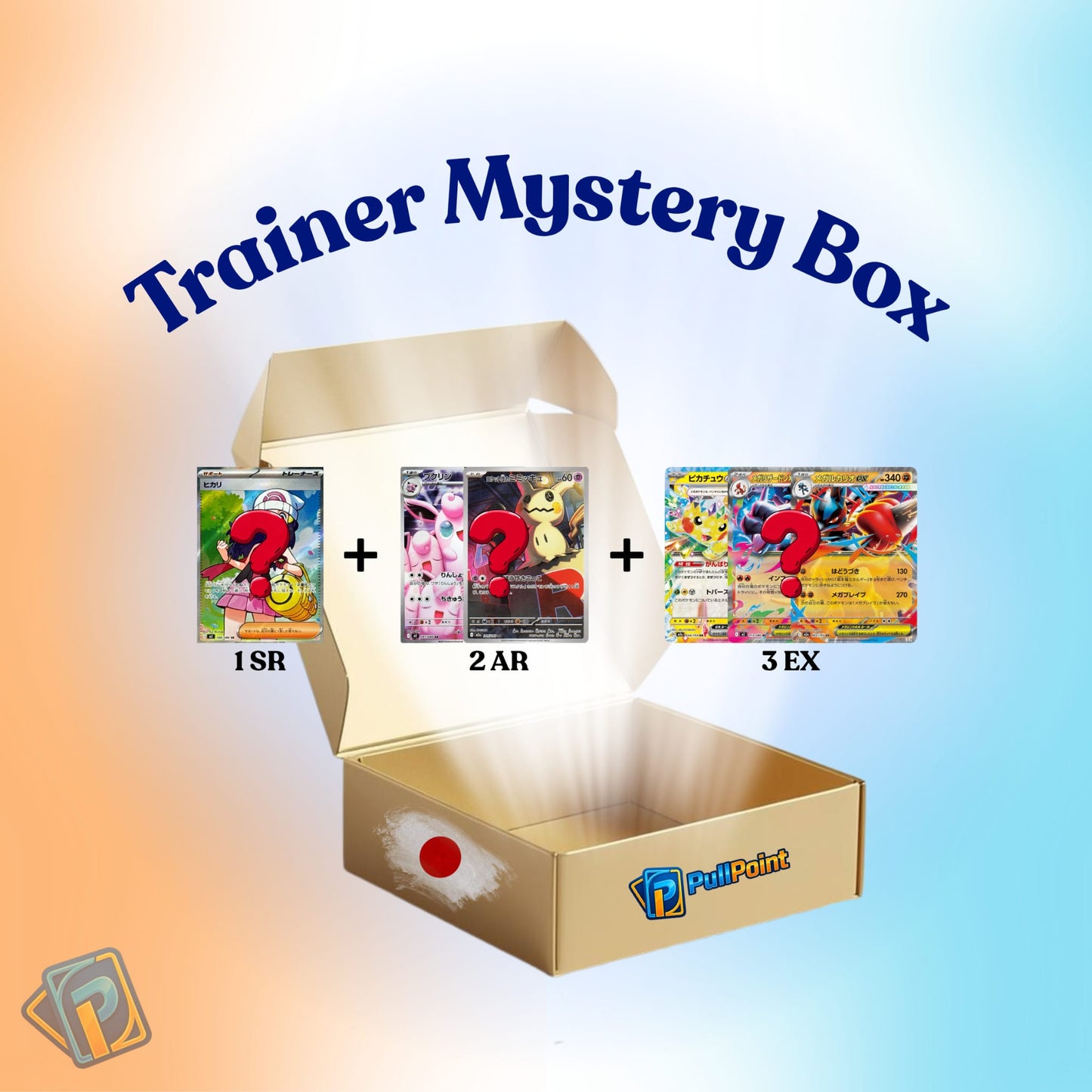 Trainer Japanese Mystery Box