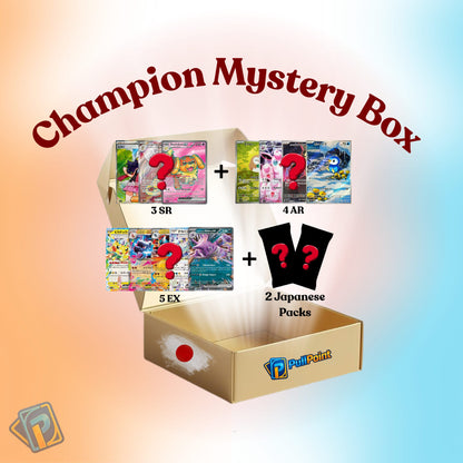 Champion Japanese Mystery Box