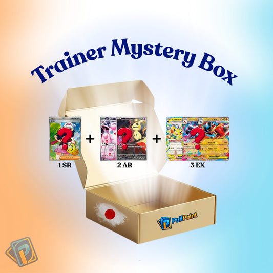 Trainer Japanese Mystery Box